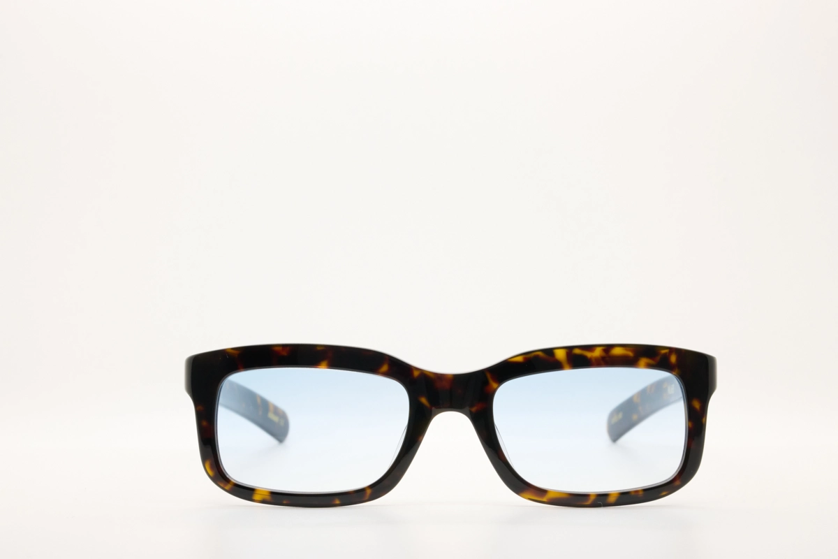 PALMER Dark Tortoise/Blue Gradient Lens